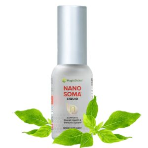 Nano Soma Nutriceutical <br>Liquid Supplement <br>1 bottle